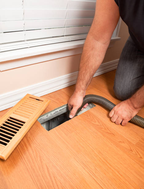 Best HVAC Maintenance and Cleaning  in Safety Harbor, FL